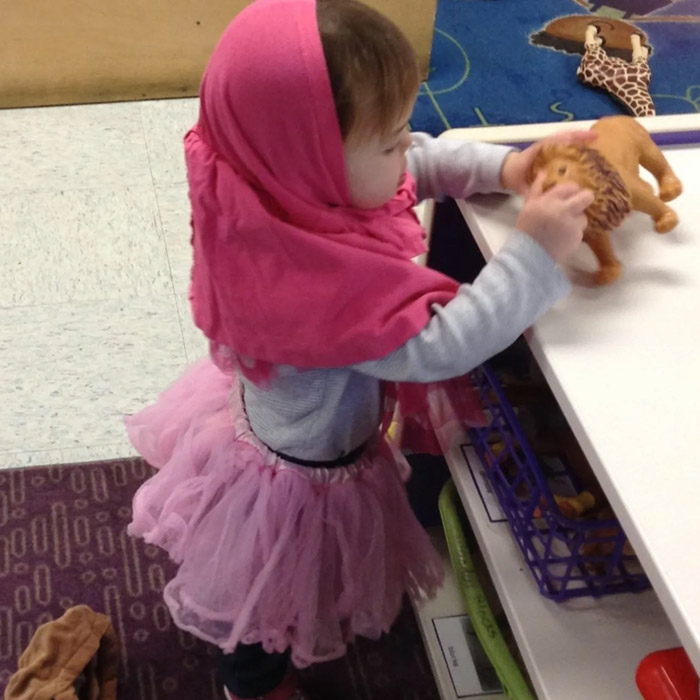 scdc-yearling-inset-02